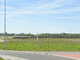 Land for sale Marijampolės sav., Pietariuose (7 picture)