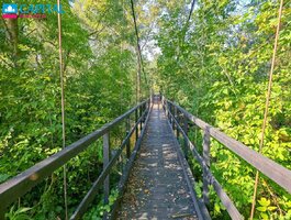 Land for sale Panevėžio rajono sav., Paliūniškyje, Žemdirbių g.