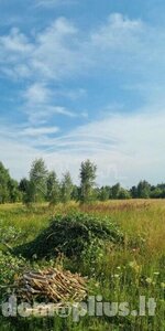 Участок Klaipėdos rajono sav., Dreižiuose