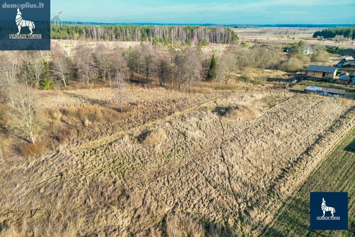 Участок Vilniaus rajono sav., Didieji Lygainiai