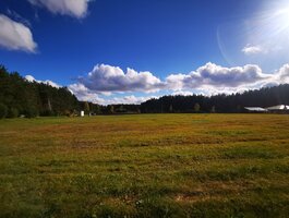 Parduodamas sklypas Druskininkų sav., Naujasodėje, Ramunių g.