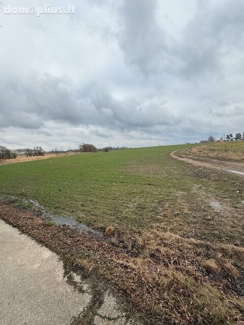 Parduodamas sklypas Šiaulių rajono sav., Domantuose