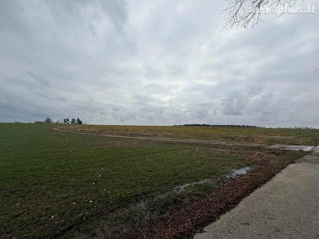 Parduodamas sklypas Šiaulių rajono sav., Domantuose