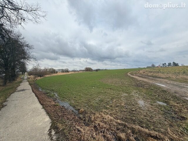 Parduodamas sklypas Šiaulių rajono sav., Domantuose