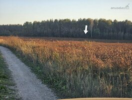 Parduodamas sklypas Vilniaus rajono sav., Totorinėje