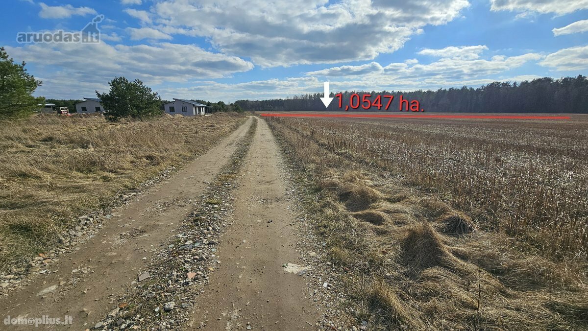 Parduodamas sklypas Vilniaus rajono sav., Totorinėje