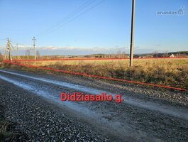 Parduodamas sklypas Vilniaus rajono sav., Didžiasalyje