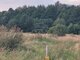 Land for sale Klaipėdos rajono sav., Gargžduose (1 picture)