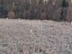 Land for sale Klaipėdos rajono sav., Gargžduose (2 picture)
