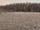 Land for sale Klaipėdos rajono sav., Gargžduose (3 picture)