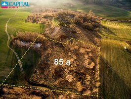 Parduodamas sklypas Elektrėnų sav., Rusatiškėse