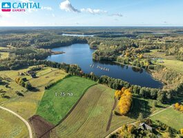 Parduodamas sklypas Ignalinos rajono sav., Maksiūnuose