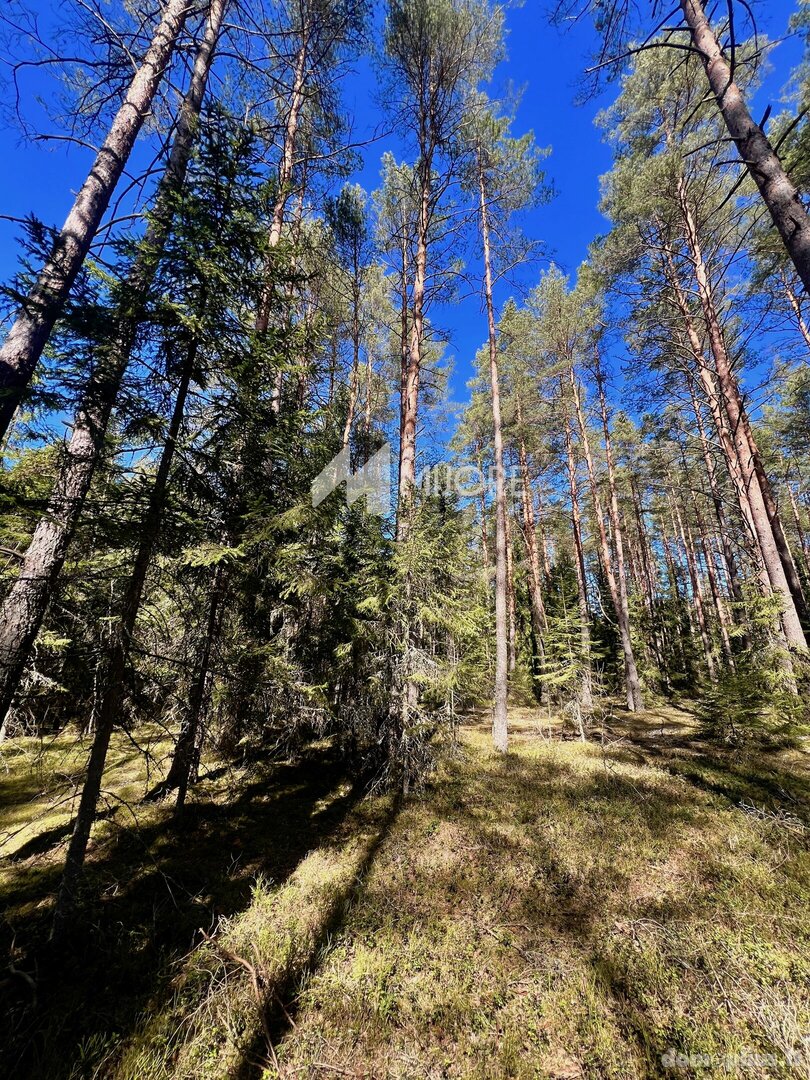 Parduodamas sklypas Švenčionių rajono sav., Labanore
