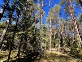 Parduodamas sklypas Švenčionių rajono sav., Labanore