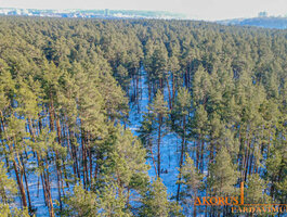 Land Vilniuje, Valakampiuose, Lizdeikos g.
