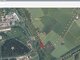Parduodamas sklypas Rokiškio rajono sav., Palankyje (1 nuotrauka)