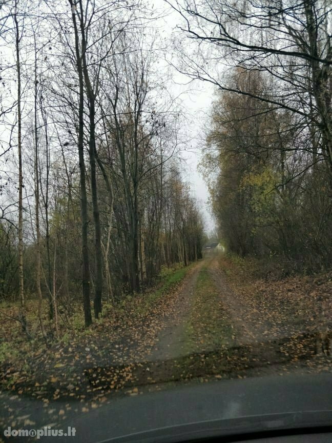 Участок Rokiškio rajono sav., Palankyje