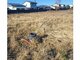 Land for sale Klaipėdos rajono sav., Radailiuose, Vainočių g. (7 picture)