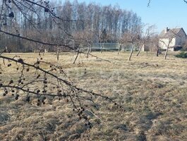 Land for sale Klaipėdos rajono sav., Vaiteliuose