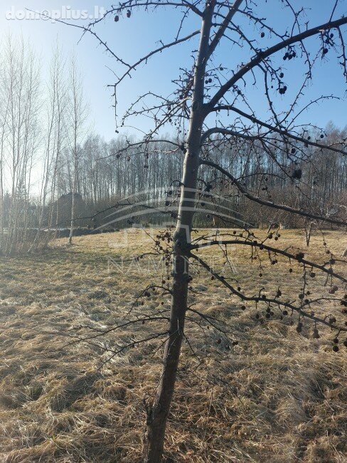 Land for sale Klaipėdos rajono sav., Vaiteliuose