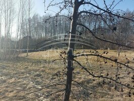 Land for sale Klaipėdos rajono sav., Vaiteliuose