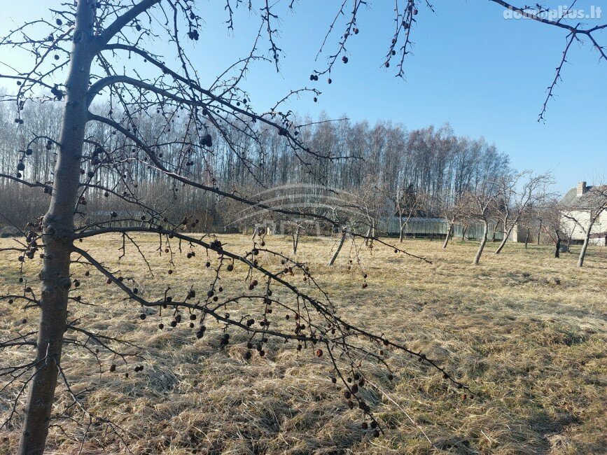 Land for sale Klaipėdos rajono sav., Vaiteliuose