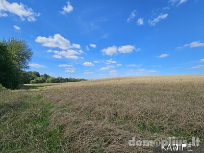 Land for sale Vilniaus rajono sav.