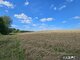 Land for sale Vilniaus rajono sav. (1 picture)