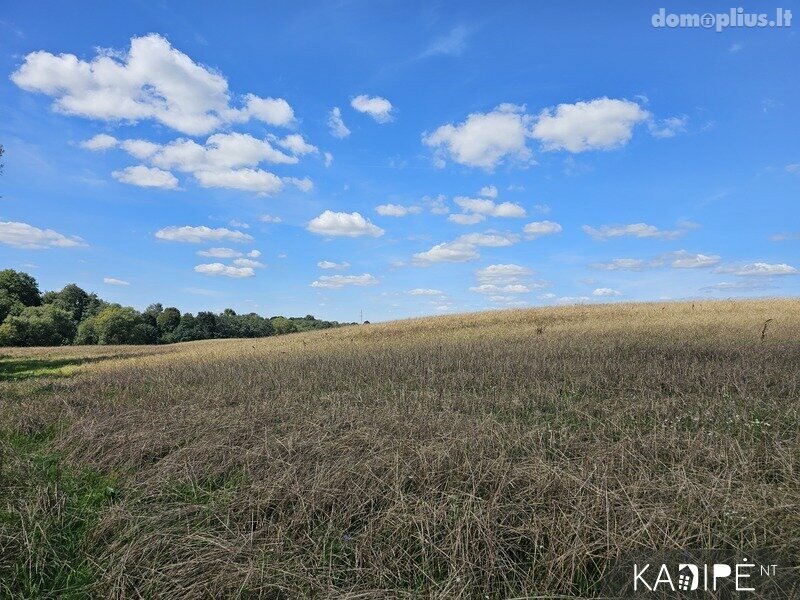 Land for sale Vilniaus rajono sav.