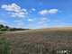 Land for sale Vilniaus rajono sav. (2 picture)