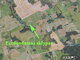 Land for sale Vilniaus rajono sav. (4 picture)