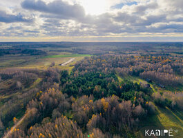 Sklypas Molėtų rajono sav., Lėliuose
