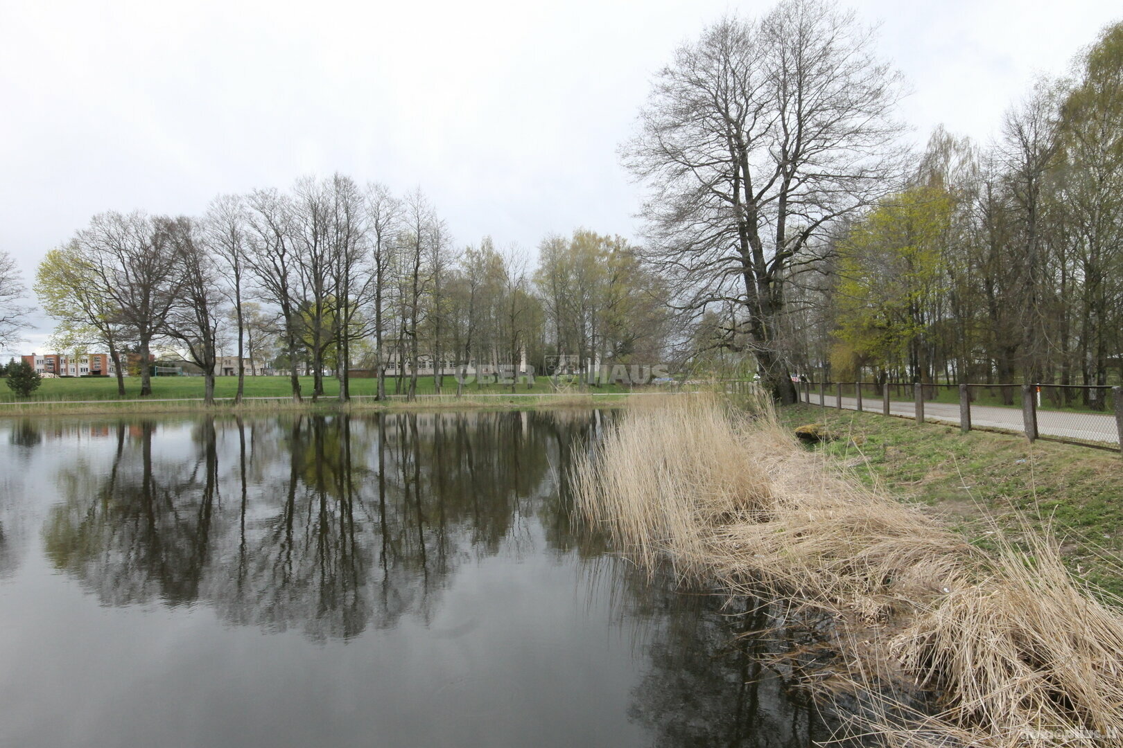 Parduodamas sklypas Raseinių rajono sav., Pramedžiavoje