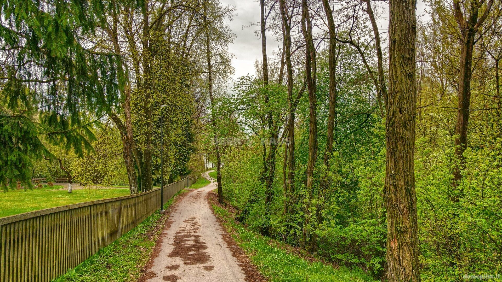 Parduodamas sklypas Kaune, Palemone