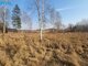 Land for sale Vilniaus rajono sav., Pūstalaukyje (5 picture)
