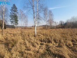 Parduodamas sklypas Vilniaus rajono sav., Pūstalaukyje