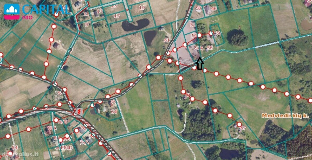 Участок Vilniaus rajono sav., Pūstalaukyje