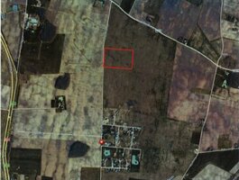 Land for sale Klaipėdos rajono sav., Peskojuose
