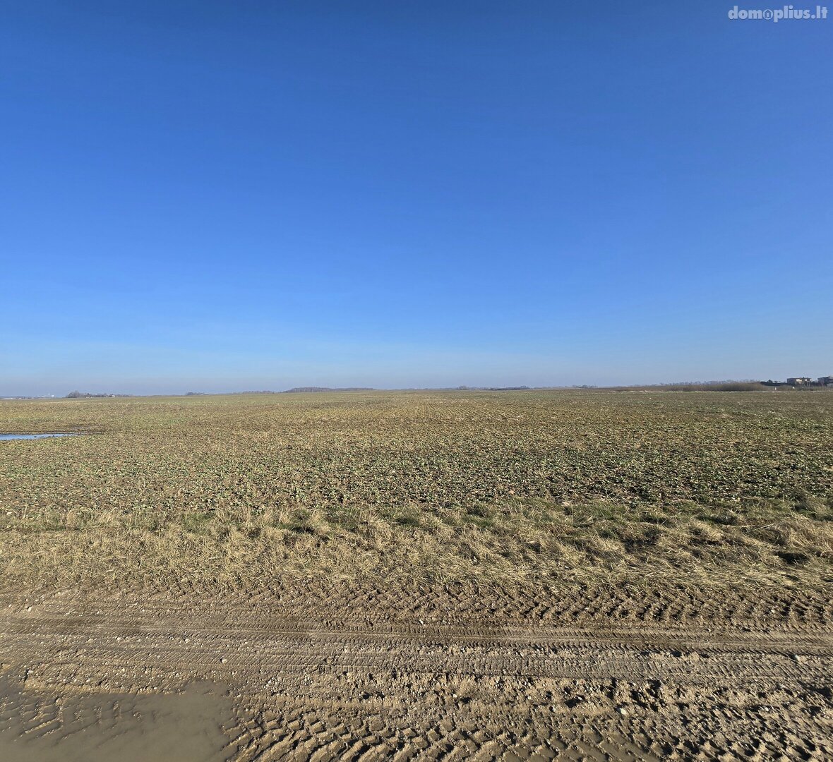 Land for sale Klaipėdos rajono sav., Peskojuose