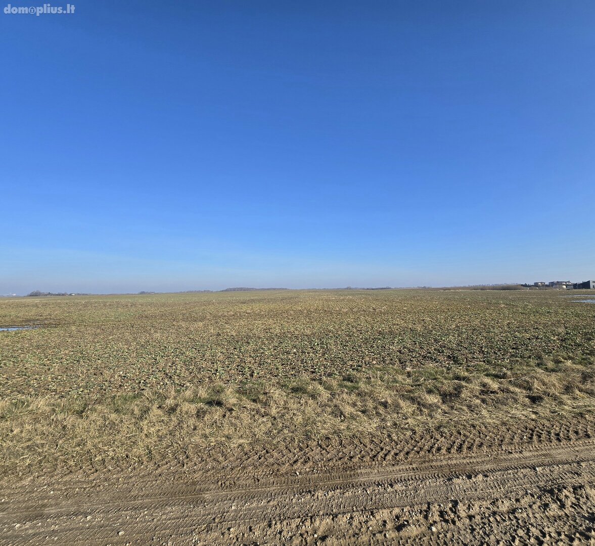 Land for sale Klaipėdos rajono sav., Peskojuose