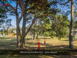 Участок Palangoje, Miško tak.