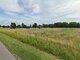 Land for sale Klaipėdos rajono sav., Pjauliuose (2 picture)