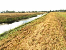 Parduodamas sklypas Klaipėdos rajono sav., Dituvoje, Kuršių g.