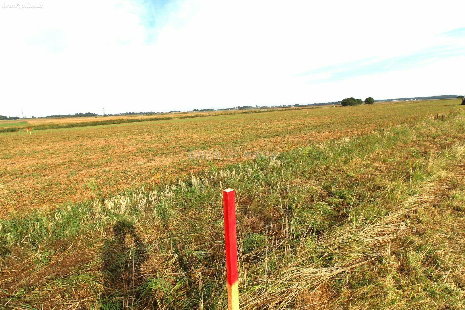 Parduodamas sklypas Klaipėdos rajono sav., Dituvoje, Kuršių g.
