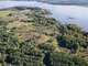 Land for sale Molėtų rajono sav., Grybėnuose (1 picture)