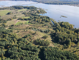 Sklypas Molėtų rajono sav., Grybėnuose