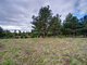 Land for sale Molėtų rajono sav., Grybėnuose (6 picture)