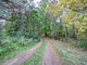 Land for sale Molėtų rajono sav., Grybėnuose (7 picture)