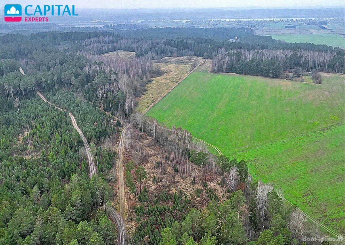 Parduodamas sklypas Kaišiadorių rajono sav., Darsūniškyje