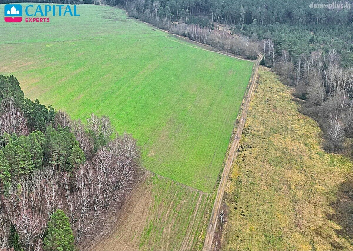 Parduodamas sklypas Kaišiadorių rajono sav., Darsūniškyje